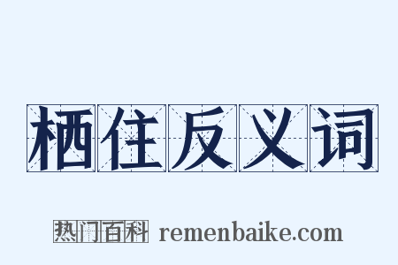 栖住反义词是什么意思的图片